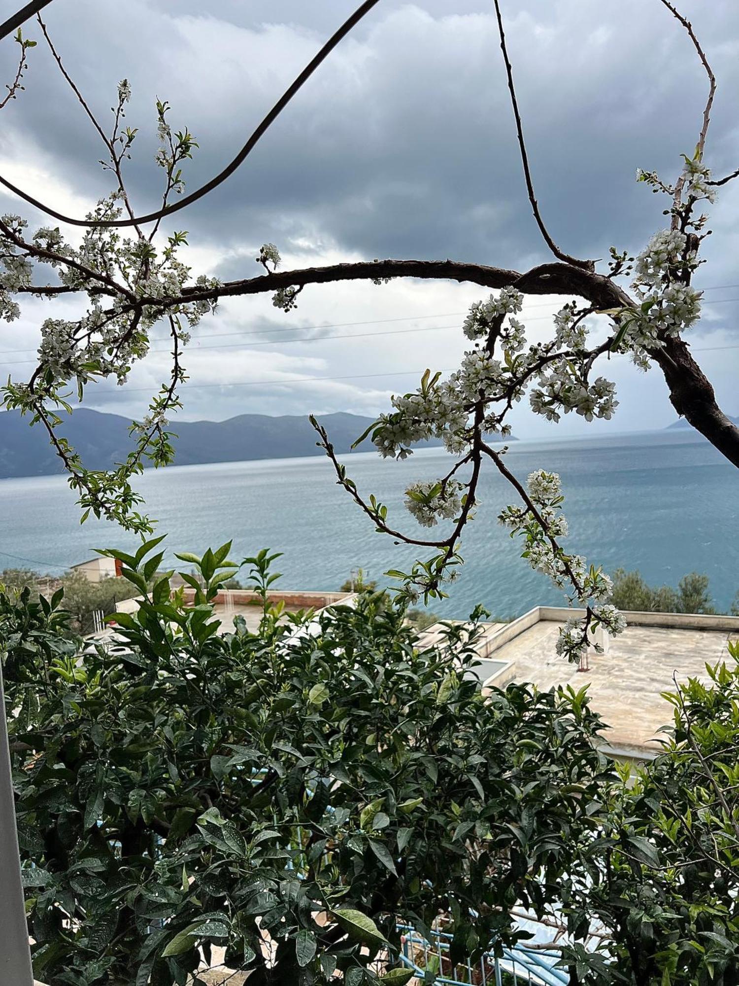 Marisi House Apartment Vlorë Екстериор снимка